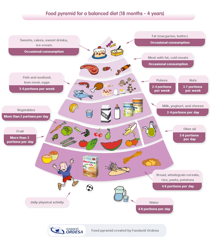 Child nutrition pyramid